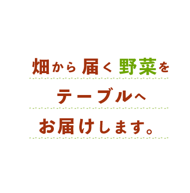 畑から届く野菜をそのままテーブルへお届けします。